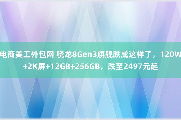 电商美工外包网 骁龙8Gen3旗舰跌成这样了，120W+2K屏+12GB+256GB，跌至2497元起